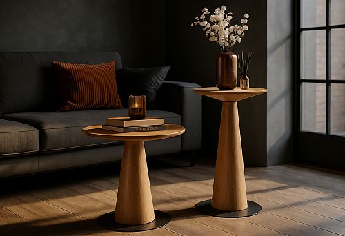 Modern living room interior with a dark sofa